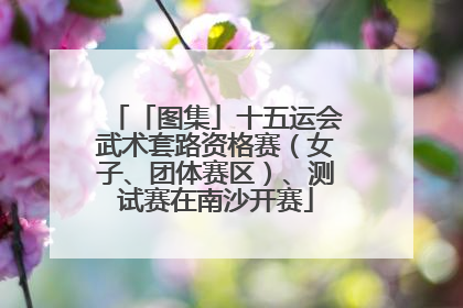「图集」十五运会武术套路资格赛（女子、团体赛区）、测试赛在南沙开赛