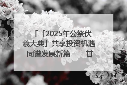 「2025年公祭伏羲大典」共享投资机遇 同谱发展新篇——甘肃省文旅产业链招商引资推介会侧记