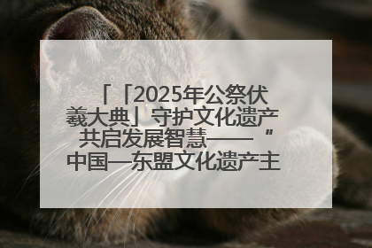 「2025年公祭伏羲大典」守护文化遗产 共启发展智慧——“中国—东盟文化遗产主题对话”侧记