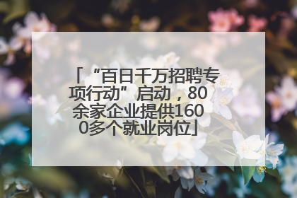 “百日千万招聘专项行动”启动，80余家企业提供1600多个就业岗位