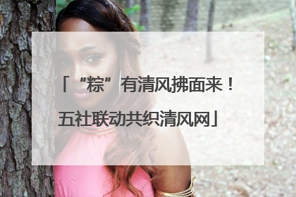“粽”有清风拂面来！五社联动共织清风网