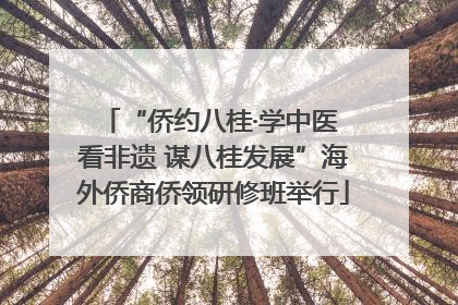 “侨约八桂·学中医 看非遗 谋八桂发展”海外侨商侨领研修班举行