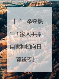 “一举夺魁”！家人手捧自家种植向日葵送考