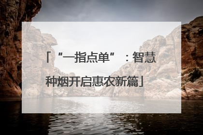 “一指点单”：智慧种烟开启惠农新篇