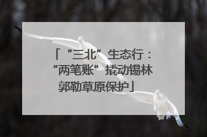 “三北”生态行：“两笔账”撬动锡林郭勒草原保护