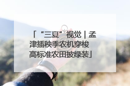 “三夏”视觉｜孟津插秧季农机穿梭 高标准农田披绿装