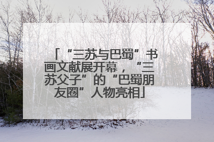 “三苏与巴蜀”书画文献展开幕，“三苏父子”的“巴蜀朋友圈”人物亮相