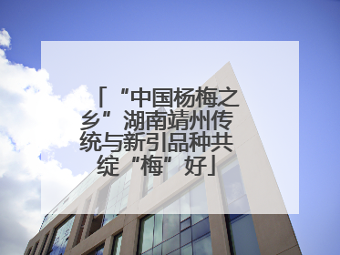 “中国杨梅之乡”湖南靖州传统与新引品种共绽“梅”好