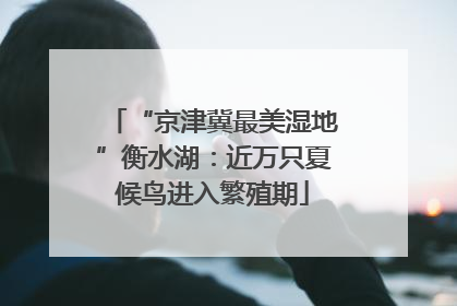 “京津冀最美湿地”衡水湖：近万只夏候鸟进入繁殖期