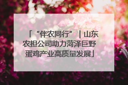 “伴农同行”｜山东农担公司助力菏泽巨野蛋鸡产业高质量发展