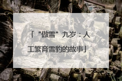 “傲雪”九岁：人工繁育雪豹的故事