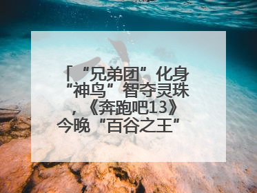 “兄弟团”化身“神鸟”智夺灵珠，《奔跑吧13》今晚“百谷之王”花落谁家？