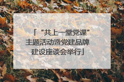 “共上一堂党课”主题活动暨党建品牌建设座谈会举行