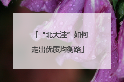 “北大洼”如何走出优质均衡路