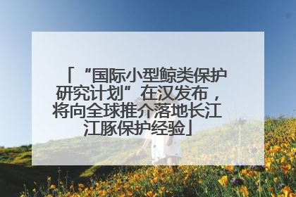 “国际小型鲸类保护研究计划”在汉发布，将向全球推介落地长江江豚保护经验