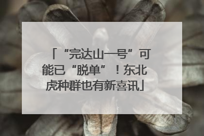 “完达山一号”可能已“脱单”！东北虎种群也有新喜讯