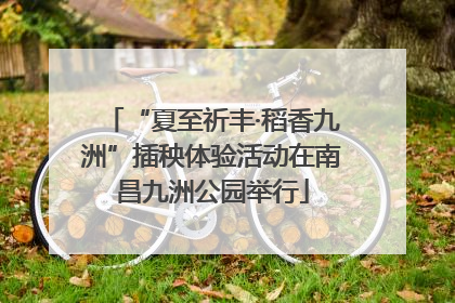 “夏至祈丰·稻香九洲”插秧体验活动在南昌九洲公园举行
