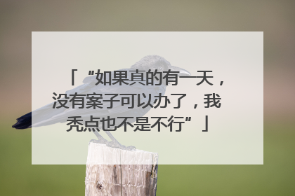 “如果真的有一天，没有案子可以办了，我秃点也不是不行”