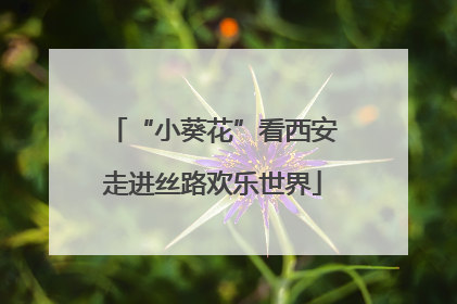 “小葵花”看西安走进丝路欢乐世界