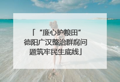 “廉心护粮田” 德阳广汉整治群腐问题筑牢民生底线