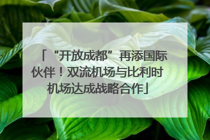 “开放成都”再添国际伙伴！双流机场与比利时机场达成战略合作