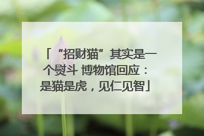 “招财猫”其实是一个熨斗 博物馆回应：是猫是虎，见仁见智