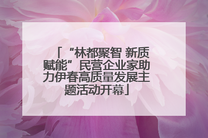 “林都聚智 新质赋能”民营企业家助力伊春高质量发展主题活动开幕