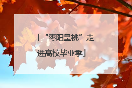 “枣阳皇桃”走进高校毕业季