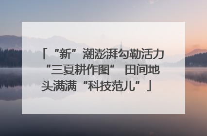 “新”潮澎湃勾勒活力“三夏耕作图” 田间地头满满“科技范儿”