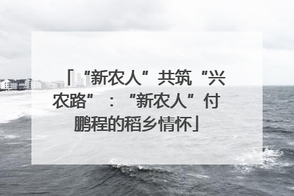 “新农人”共筑“兴农路”：“新农人”付鹏程的稻乡情怀