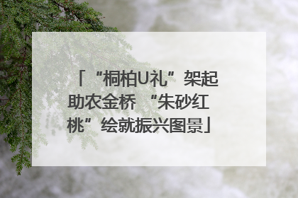 “桐柏U礼”架起助农金桥 “朱砂红桃”绘就振兴图景