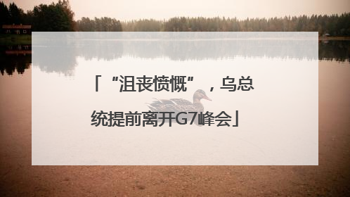 “沮丧愤慨”，乌总统提前离开G7峰会