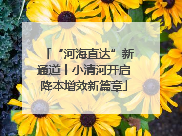 “河海直达”新通道丨小清河开启降本增效新篇章