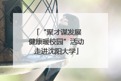 “聚才谋发展 健康暖校园”活动走进沈阳大学