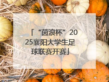 “茵浪杯”2025襄阳大学生足球联赛开赛
