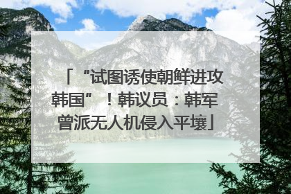 “试图诱使朝鲜进攻韩国”！韩议员：韩军曾派无人机侵入平壤