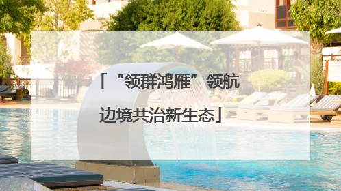 “领群鸿雁”领航边境共治新生态