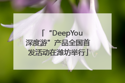 “DeepYou深度游”产品全国首发活动在潍坊举行