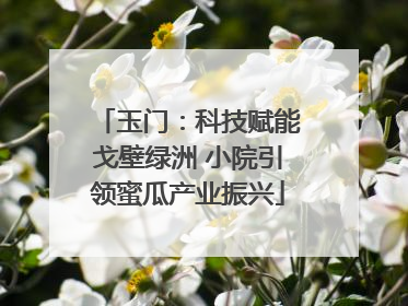 玉门：科技赋能戈壁绿洲 小院引领蜜瓜产业振兴