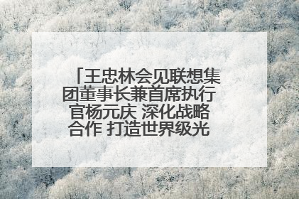 王忠林会见联想集团董事长兼首席执行官杨元庆 深化战略合作 打造世界级光电子信息产业集群