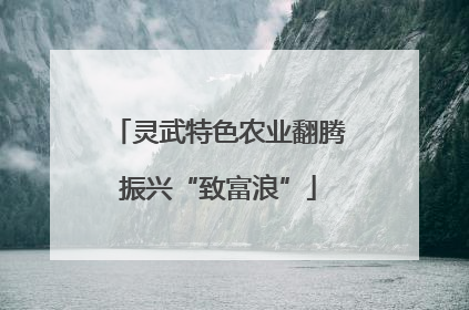 灵武特色农业翻腾振兴“致富浪”