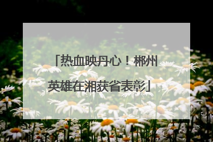 热血映丹心！郴州英雄在湘获省表彰