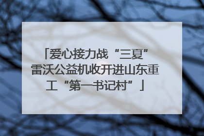 爱心接力战“三夏” 雷沃公益机收开进山东重工“第一书记村”