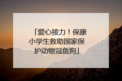 爱心接力！保康小学生救助国家保护动物冠鱼狗