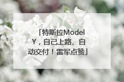 特斯拉Model Y，自己上路、自动交付！雷军点赞