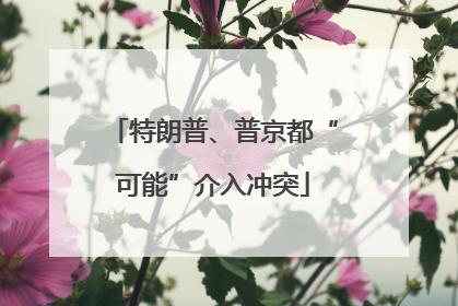特朗普、普京都“可能”介入冲突