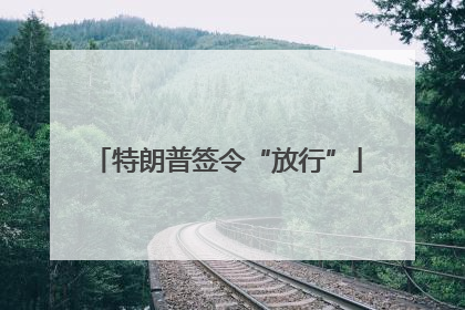 特朗普签令“放行”