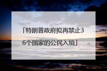 特朗普政府拟再禁止36个国家的公民入境