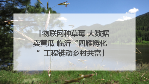 物联网种草莓 大数据卖黄瓜 临沂“四雁孵化”工程链动乡村共富