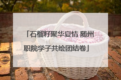 石榴籽聚华夏情 随州职院学子共绘团结卷